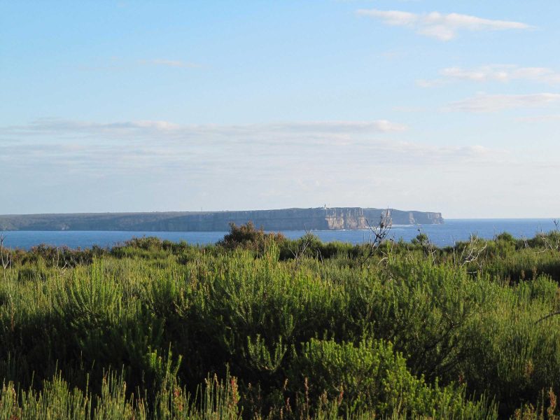 Booderee National Park Research Project