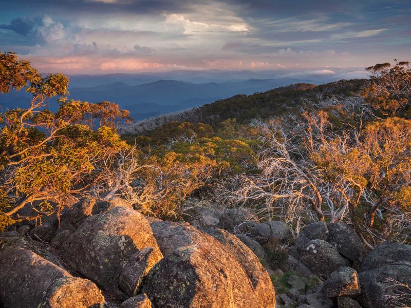 Victorian Central Highlands Research Project